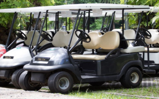 30 Yr. Est. Golf Cart Dealership & Expert Repair 30 Yr. Est. Golf Cart Dealership & Expert Repair
