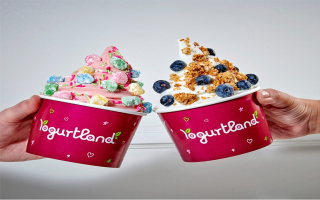 Yogurtland Franchise in North Orange County Yogurtland Franchise in North Orange County