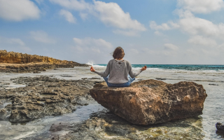 Established Wellness Business-Recurring Revenue