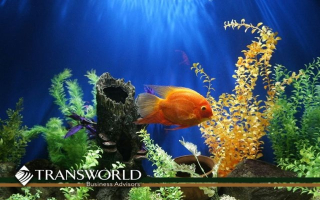 20-Year-Established South Florida Aquarium Store
