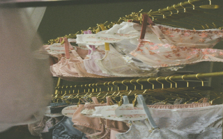 Long Established Multi Location Specialty Lingerie