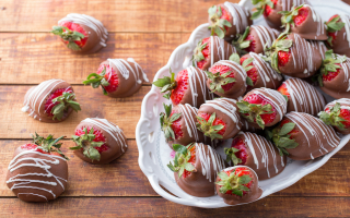 Profitable Food Business for Sale Venice FL, Owner Benefit Profitable Food Business for Sale Venice FL, Owner Benefit