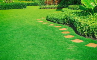 Commercial Landscape - Maintenance Company Commercial Landscape - Maintenance Company