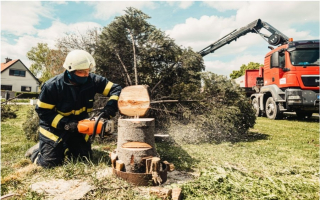 Tree Service Business: Loyal Clients.$740K in Eqpt
