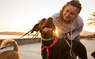 For Active Pet Lovers: Turnkey. Ready for Growth. 
