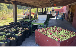 Whidbey Island Turnkey Cidery & Orchard 