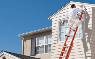 Successful 6-territory Paint Franchise