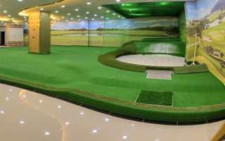 Premier 23-Year-Old Synthetic Turf SFL Firm