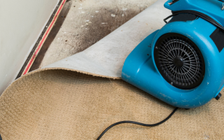 Exceptional Restoration and Disaster Recovery