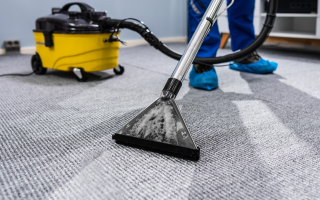 Earth-Friendly Carpet & Floor Care Business Earth-Friendly Carpet & Floor Care Business