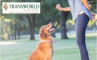 Premier Dog Training & Pet Care Business