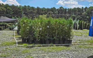 Thriving Landscape Supply Business with Proven Success- A prime Investment Opportunity!