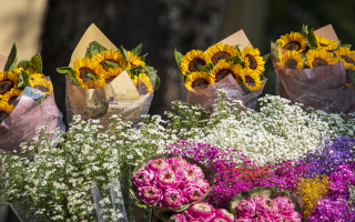 Floral Design and Gifts