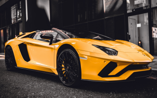 Luxury and Exotic Auto Sales Business