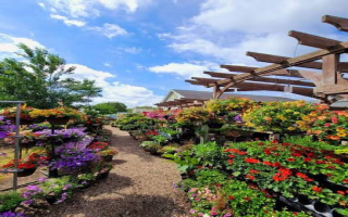 Established Landscaping & Garden Center Established Landscaping & Garden Center