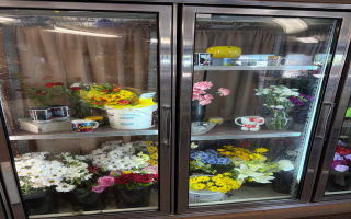 Turnkey-Well Established Flower Shop for Sale