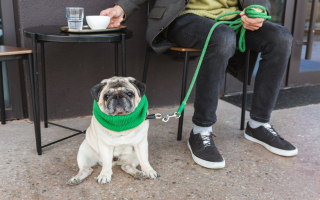 One-of-a-Kind Dog-Friendly Community Cafe 