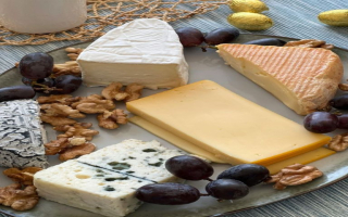 Where Cheese Means Business (REDUCED)