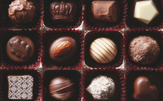 Highly Profitable Artisan Chocolate Store