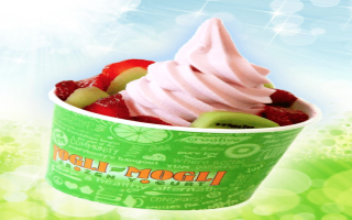 Douglasville GA Frozen Yogurt Restaurant Franchise