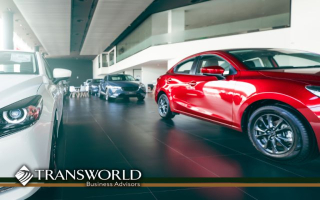 Export-Driven Auto Dealership – Rapid Growth, $17M Export-Driven Auto Dealership – Rapid Growth, $17M