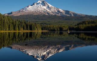 Chiropractic Practice for Sale in Vancouver, WA