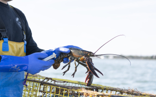 Asset Sale of Commercial Fishing business Asset Sale of Commercial Fishing business