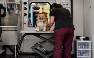 Mobile Grooming Business - MB Van and Two Groomers