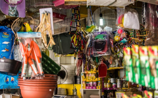 Successful Pet Supply Store For Sale