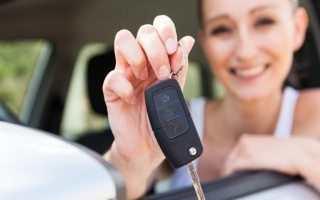Investment Opportunity (Car Rental)