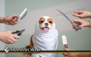 6 Year Established Dog Boarding, Day Care 