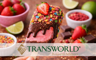 Popular Popsicle Dessert Business