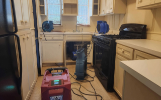 Water Damage & Mold Restoration Biz