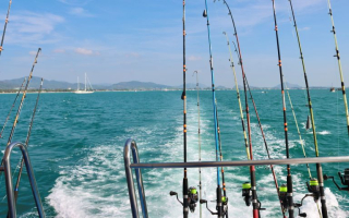Fishing Equipment Distributor