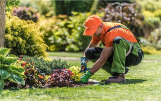 Landscape Company: Long Est., Modernized, Scalable