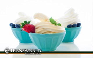 Frozen Yogurt Business with Strong Growth Frozen Yogurt Business with Strong Growth
