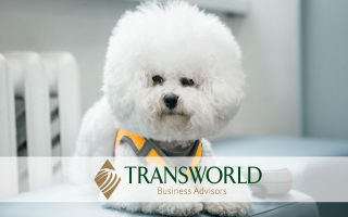 Turnkey Pet Grooming Business – Great Growth Turnkey Pet Grooming Business – Great Growth
