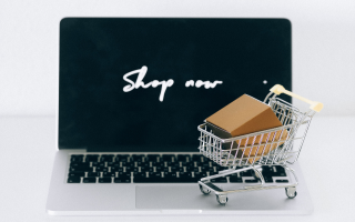 eComm Platform, Supply Chain & Brand Mgmt Firm