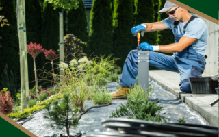 Established Tree Service, Modern Fleet Ready to Run, Fox Valley