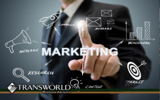  10 year old Marketing Agency