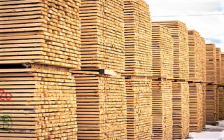 Lumber and Building Material Dealer