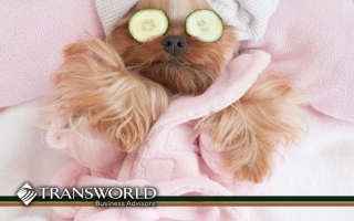 Pet Grooming Salon in Cuyahoga County 