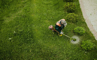 Robust 40-Year Full-Service, All-Season Landscaping Co with RE Robust 40-Year Full-Service, All-Season Landscaping Co with RE