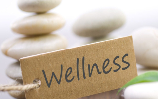 Well-Known Health and Wellness Franchise in MI