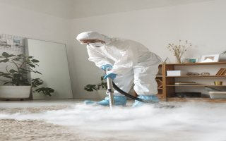 Las Vegas: Cash Flow Carpet Cleaning Franchise   