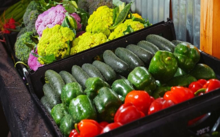 $9.8M Ethnic Wholesale Produce - Seller Financed