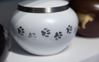 Pet Cremation Business for Sale