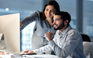 Established IT Consulting Company with Niche Advantage