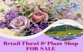 Florist, Floral Decor and Plant Care