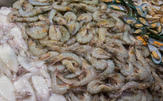  Seafood Distribution & Processing